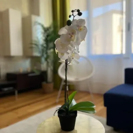 Alfe House